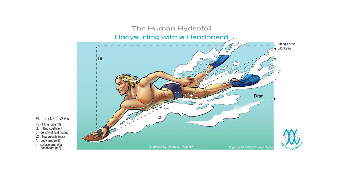 Bodysurfing Handboard Guide - Size, Shape, and How to Choose