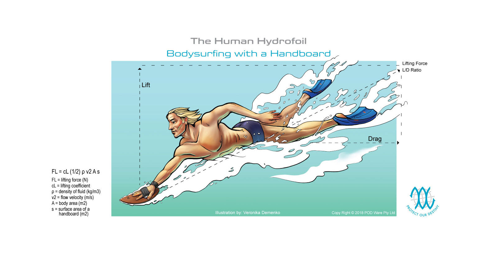 Bodysurfing Handboard Guide - Size, Shape, and How to Choose