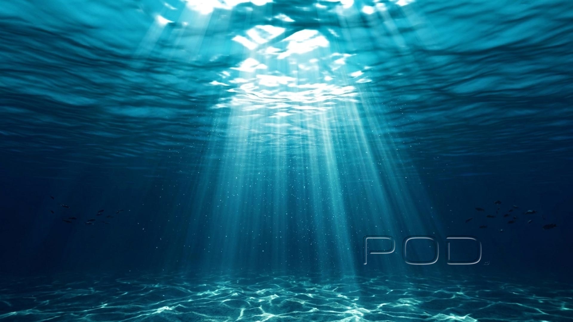 Swimming Bundle