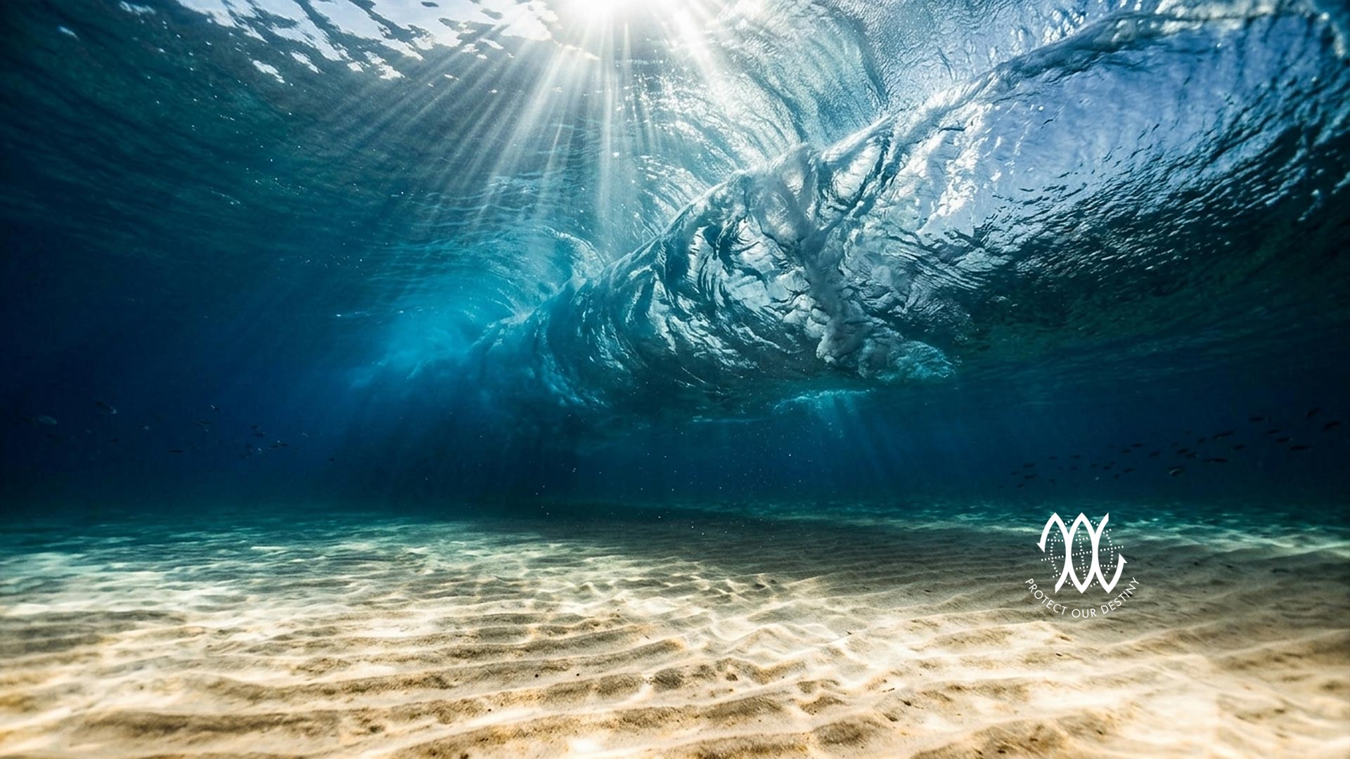 Surfing Bundle