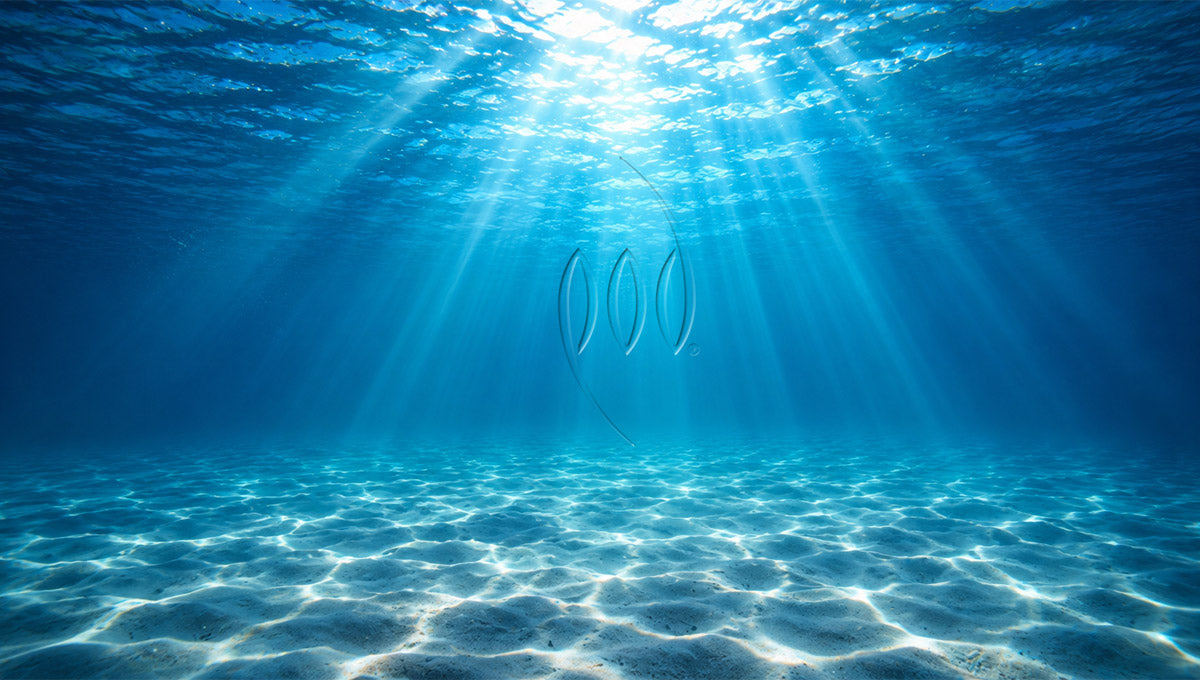 PODware | Human-Ocean Connection Swim Fins, Handboards and Ocean Gear ...