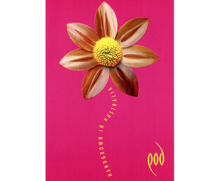 First POD Handboards Postcard - Sun Flower Concept