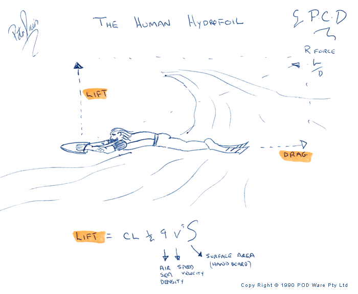 The Human Hydrofoil by Peter Davis