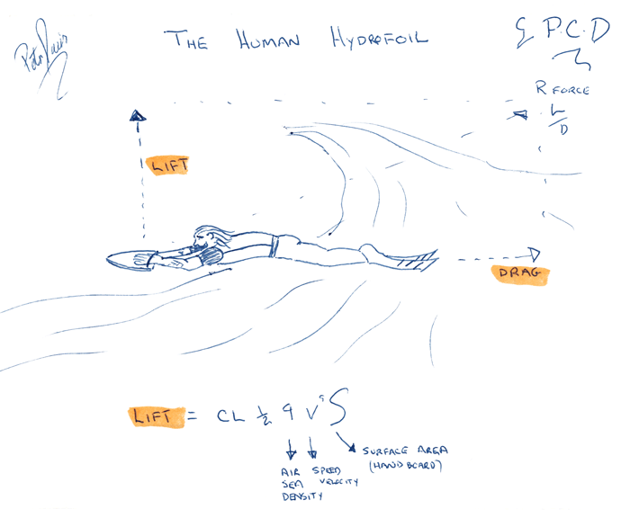 The Human Hydrofoil bodysurfing lift and drag diagram
